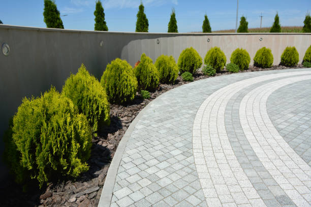 Best Local Driveway Pavers  in Wilkesboro, NC